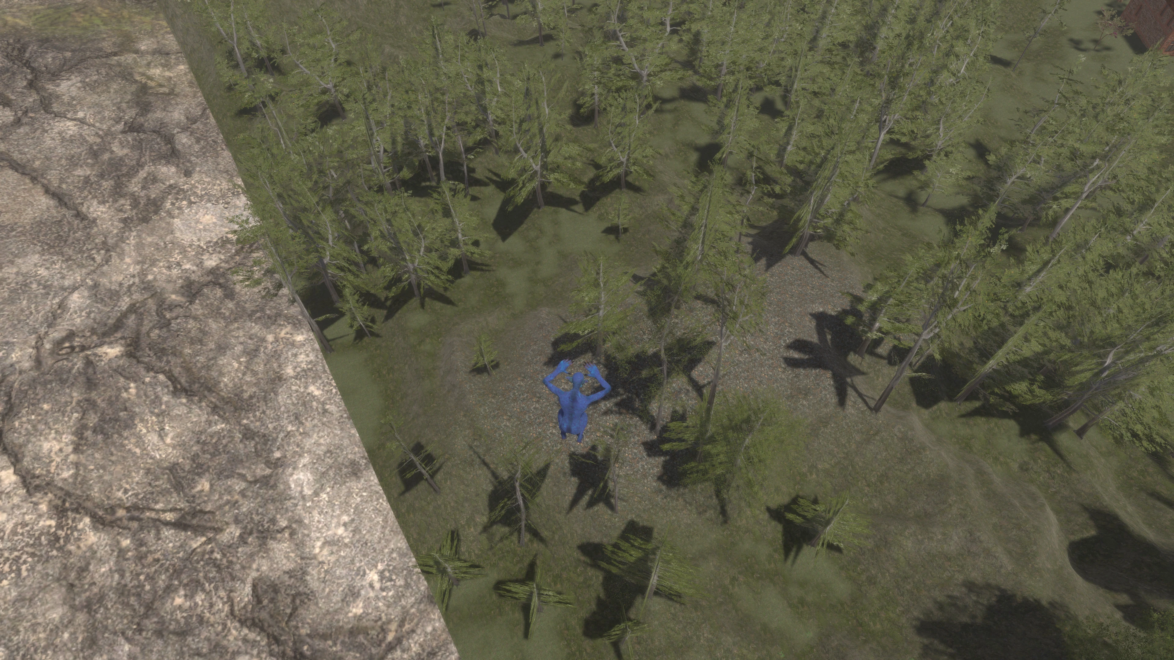 Parkour in the forest